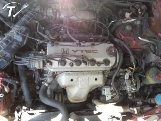 ขายแอคครอส ตราเพรช