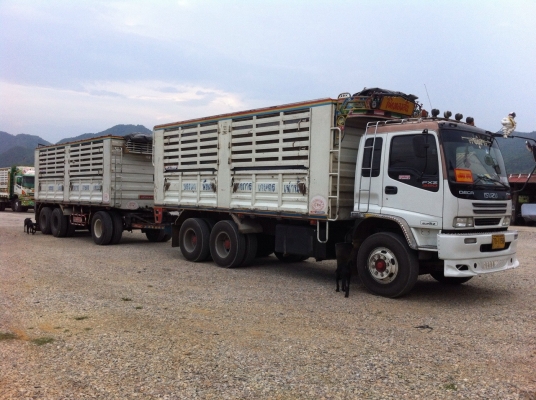 ต้องการขายisuzu dega 320 ปี 50 รถดีไม่มีอุบัติเหตุรถบ้านเจ้าของขายเองราคาคุยได้ดูรถก่อนได้ครับ