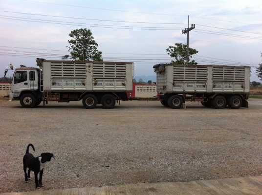 ต้องการขายisuzu dega 320 ปี 50 รถดีไม่มีอุบัติเหตุรถบ้านเจ้าของขายเองราคาคุยได้ดูรถก่อนได้ครับ