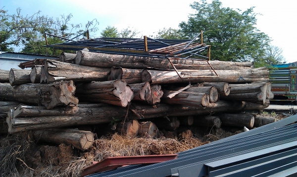 ขายไม้สักจำนวน27คิว เอกสารพร้อม