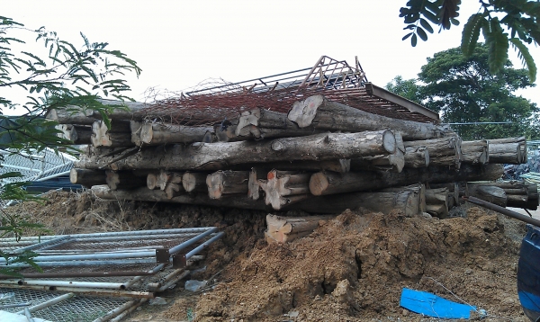 ขายไม้สักจำนวน27คิว เอกสารพร้อม