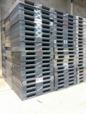 ขายพาเลทพาสติก