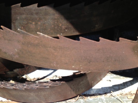 ขายใบเลื่อยสายพาน