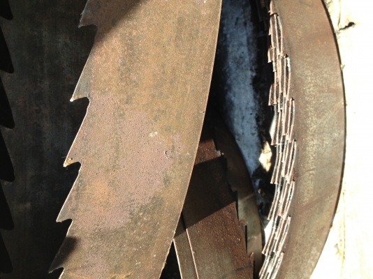 ขายใบเลื่อยสายพาน