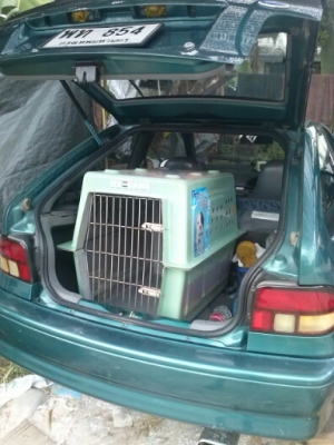 ขาย FORD, ASPIRE 1.3 XL (3Dr) ปี 97 ภายในสวย ขาย FORD, ASPIRE 1.3 XL (3Dr) ปี 97 ภายในสวย