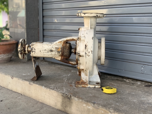 ขายปั๊มน้ำหอยโข่ง Teral 80x65 K5 ใบพัดทองเหลือง ขนาดเข้า 3นิ้ว ออก 2.5นิ้ว สภาพสวยเดิมๆ พร้อมใช้งาน