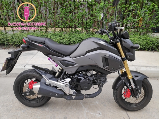 HONDA MSX รุ่นไฟ LED รถปี 59 เดิมและสวยมากลองขับได้ก่อน เอกสารครบ HONDA MSX รุ่นไฟ LED รถปี 59 เดิมและสวยมากลองขับได้ก่อน เอกสารครบ