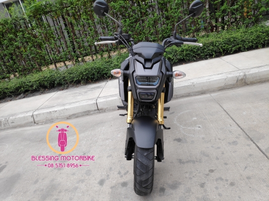 HONDA MSX รุ่นไฟ LED รถปี 59 เดิมและสวยมากลองขับได้ก่อน เอกสารครบ HONDA MSX รุ่นไฟ LED รถปี 59 เดิมและสวยมากลองขับได้ก่อน เอกสารครบ