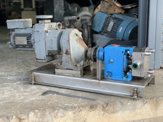 ขายหัวปั๊มดูดของเหนียวหัวสแตนเลส 316L INOXPA lobe pump made in Spain พร้อมแท่นมอเตอร์เกียร์ 1HP. 380V ใช้ในงานผลิตอาหาร สภาพสวย หมุนนิ่ม พร้อมใช้งาน ราคา 11,500 บาท