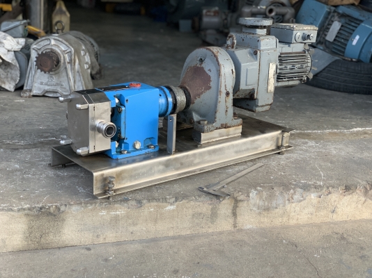 ขายหัวปั๊มดูดของเหนียวหัวสแตนเลส 316L INOXPA lobe pump made in Spain พร้อมแท่นมอเตอร์เกียร์ 1HP. 380V ใช้ในงานผลิตอาหาร สภาพสวย หมุนนิ่ม พร้อมใช้งาน ราคา 11,500 บาท