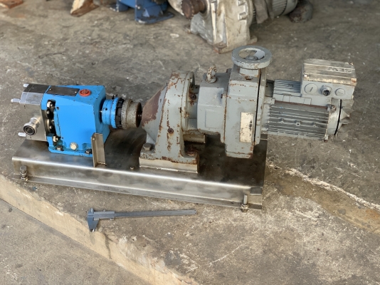 ขายหัวปั๊มดูดของเหนียวหัวสแตนเลส 316L INOXPA lobe pump made in Spain พร้อมแท่นมอเตอร์เกียร์ 1HP. 380V ใช้ในงานผลิตอาหาร สภาพสวย หมุนนิ่ม พร้อมใช้งาน ราคา 11,500 บาท