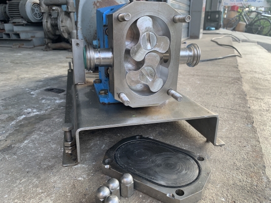 ขายหัวปั๊มดูดของเหนียวหัวสแตนเลส 316L INOXPA lobe pump made in Spain พร้อมแท่นมอเตอร์เกียร์ 1HP. 380V ใช้ในงานผลิตอาหาร สภาพสวย หมุนนิ่ม พร้อมใช้งาน ราคา 11,500 บาท