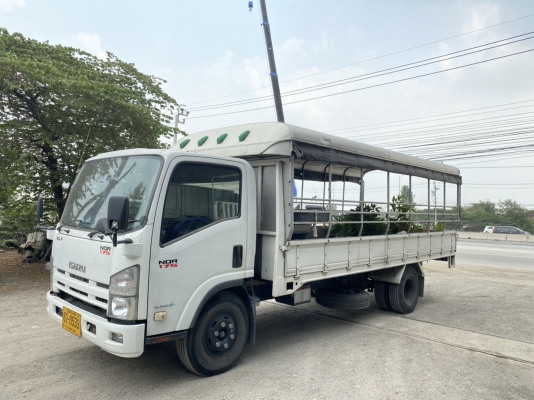 &ldquo;๑๑/๐๕/๖๓&rdquo;NQR 175 แรง ปี&rsquo;57 ยาว 5.50 เมตร มือแรก ไมล์น้อย ยางใหม่ พร้อมใช้งาน สด~ผ