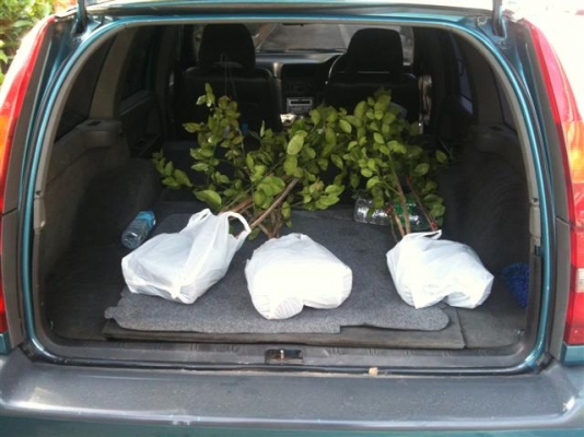 รถ van ครอบครัว สวย. แต่เสีย