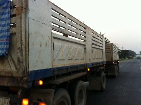 แม่-ลูกดั้ม380แรงHINO ปี*51 รถสวย ลูก3คานแท้ปี*51 อยู่สระบุรี แม่-ลูกดั้ม380แรงHINO ปี*51 รถสวย ลูก3คานแท้ปี*51 อยู่สระบุรี