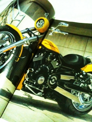 ขายหนังสือHarleyDavidson