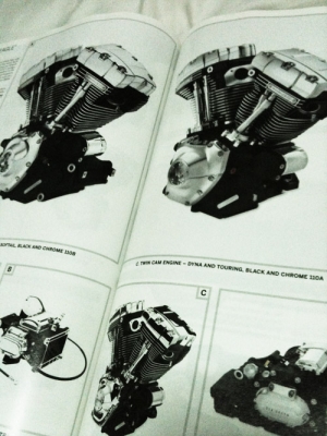 ขายหนังสือHarleyDavidson