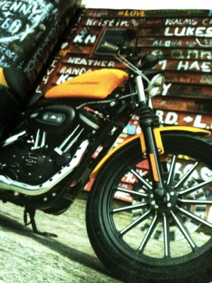 ขายหนังสือHarleyDavidson
