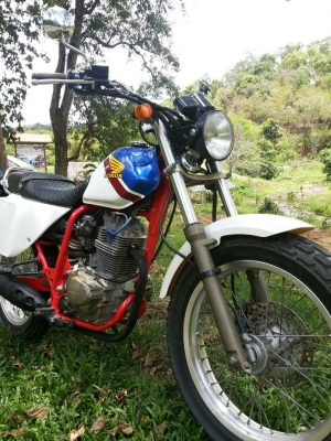 FTR 223 limited 2002