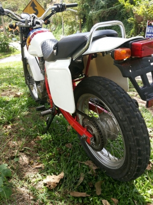 FTR 223 limited 2002
