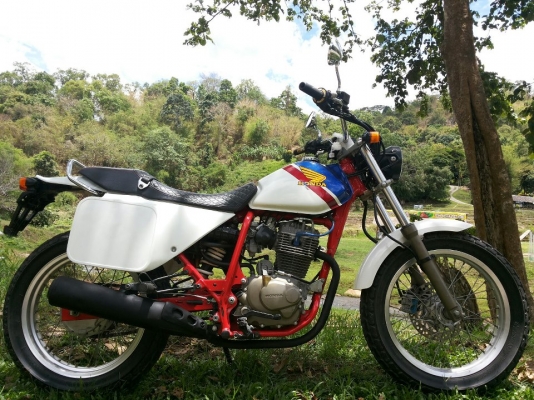 FTR 223 limited 2002