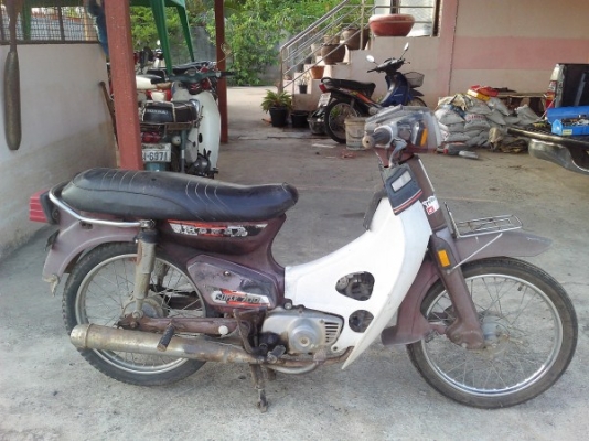 ขาย นันทิดา สีม่วงหายาก ทะเบียนโอน ราคานี้หาไม่ได้แล้ว