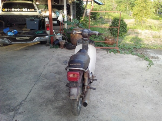 ขาย นันทิดา สีม่วงหายาก ทะเบียนโอน ราคานี้หาไม่ได้แล้ว