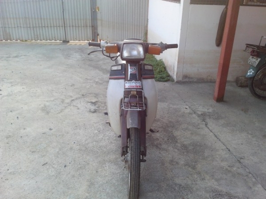 ขาย นันทิดา สีม่วงหายาก ทะเบียนโอน ราคานี้หาไม่ได้แล้ว