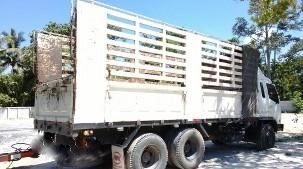 รถอีซูซุ 10 ล้อ ไม่ดั้ม 260 แรงม้า ปี 51  สนใจติดต่อ  081 - 6079515