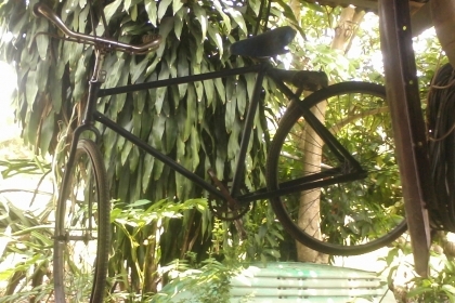 จักรยานโบราณอังกฤษ สภาพสียังดีครับเป็นของอังกฤษแท้ครับใส่โซ่เติมลมยางใช้ได้เลยครับเหล็กดีมากครับสวยๆครับ