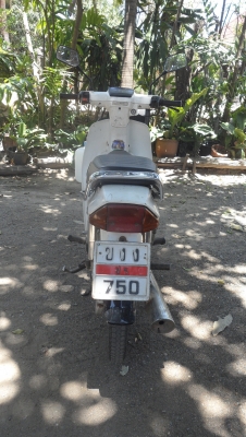 ขายดรีมคุรุสภา เดิมๆ ทะเบียน(มีชุดโอน) 11900บาท เครื่องดีไม่หอน ไฟออกทุกดวง 081-2884356 ขายดรีมคุรุสภา เดิมๆ ทะเบียน(มีชุดโอน) 11900บาท เครื่องดีไม่หอน ไฟออกทุกดวง 081-2884356