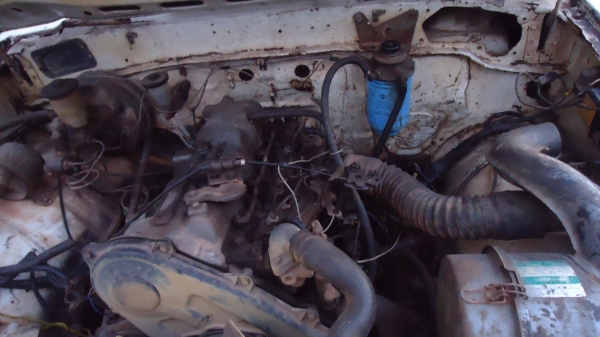 ม้ากระโดด