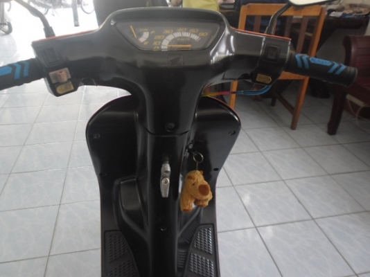 ป๊อป แดง(6500ส่งฟรี)