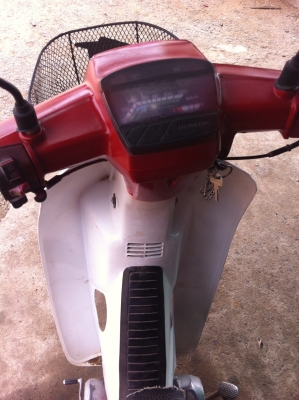 ขายตูดเป็ดเจอย้อมสี ราคาเบาๆ  8500 บาท ราคาลดได้