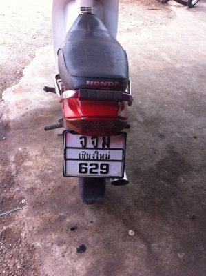 ขายตูดเป็ดเจอย้อมสี ราคาเบาๆ  8500 บาท ราคาลดได้