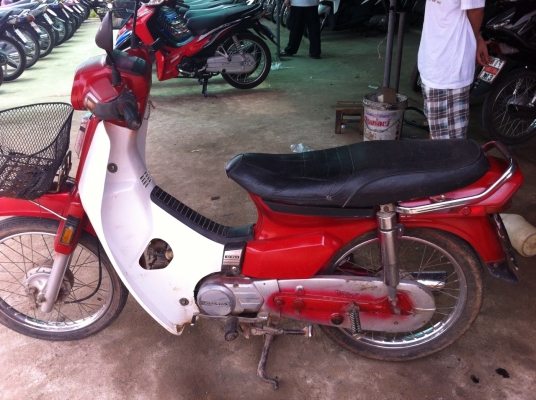 ขายตูดเป็ดเจอย้อมสี ราคาเบาๆ  8500 บาท ราคาลดได้