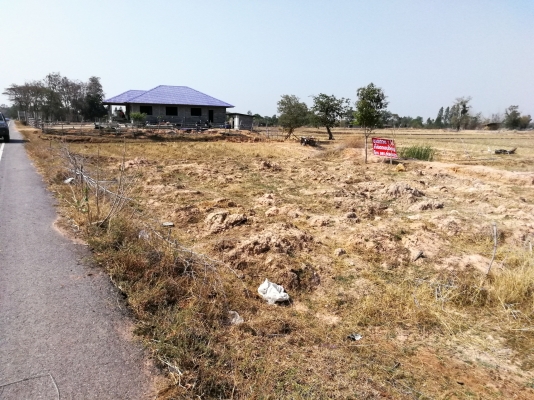 ขายที่ดิน 2 งานหรือ 1 ไร่ ก็ได้ติดถนนใหญ่ พร้อมสร้างบ้าน ระบบน้ำครบ