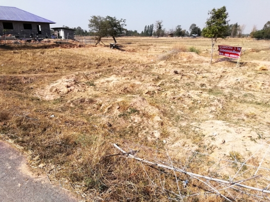 ขายที่ดิน 2 งานหรือ 1 ไร่ ก็ได้ติดถนนใหญ่ พร้อมสร้างบ้าน ระบบน้ำครบ ขายที่ดิน 2 งานหรือ 1 ไร่ ก็ได้ติดถนนใหญ่ พร้อมสร้างบ้าน ระบบน้ำครบ