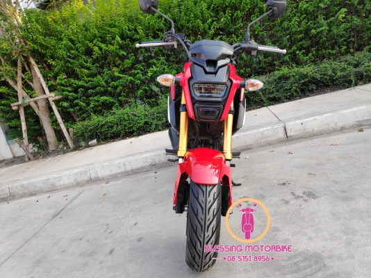 HONDA MSX SF ปี 62 รถสวยๆ เอกสารครบ รับประกันเอกสาร สามารถลองขับได้ HONDA MSX SF ปี 62 รถสวยๆ เอกสารครบ รับประกันเอกสาร สามารถลองขับได้