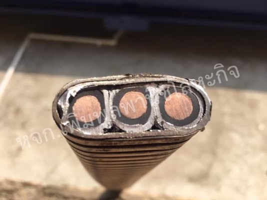 ขายสายไทองเปลือกสแตนเลส316