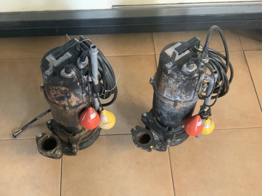 ขายไดโว่ Ebara 1HP. 220V ไฟบ้าน made in Japan รุ่นมีลูกลอยตัดการทำงานในตัว สภาพสวยเดิมๆ หมุนนิ่ม พร้อมใช้งาน มี 2ตัว ราคาตัวละ 6,800 บาท ขายไดโว่ Ebara 1HP. 220V ไฟบ้าน made in Japan รุ่นมีลูกลอยตัดการทำงานในตัว สภาพสวยเดิมๆ หมุนนิ่ม พร้อมใช้งาน มี 2ตัว ราคาตัวละ 6,800 บาท