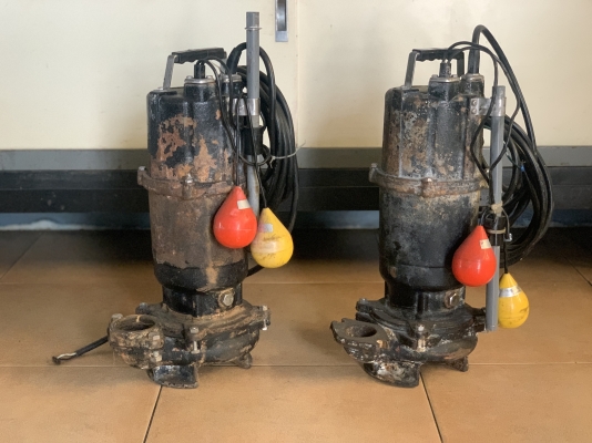 ขายไดโว่ Ebara 1HP. 220V ไฟบ้าน made in Japan รุ่นมีลูกลอยตัดการทำงานในตัว สภาพสวยเดิมๆ หมุนนิ่ม พร้อมใช้งาน มี 2ตัว ราคาตัวละ 6,800 บาท ขายไดโว่ Ebara 1HP. 220V ไฟบ้าน made in Japan รุ่นมีลูกลอยตัดการทำงานในตัว สภาพสวยเดิมๆ หมุนนิ่ม พร้อมใช้งาน มี 2ตัว ราคาตัวละ 6,800 บาท