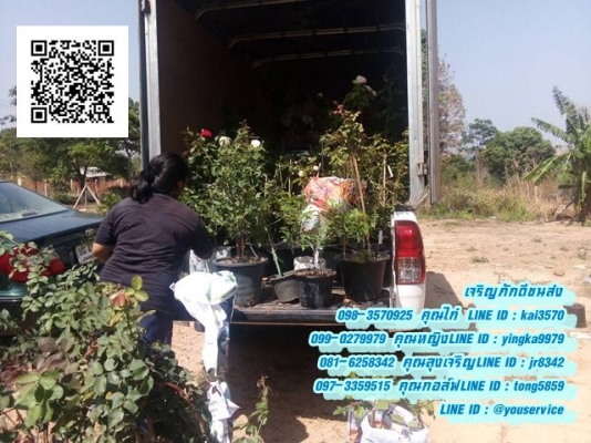 รถรับจ้างฉะเชิงเทรา รถรับจ้างมืออาชีพต้อง เจริญภักดีขนส่ง บริการรถรับจ้างทั่วไทย มีทั้งรถ 10 ล้อ 6 ล