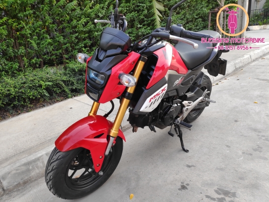 HONDA MSX SF ปี 62 รถสวยๆ เอกสารครบ รับประกันเอกสาร สามารถลองขับได้ HONDA MSX SF ปี 62 รถสวยๆ เอกสารครบ รับประกันเอกสาร สามารถลองขับได้