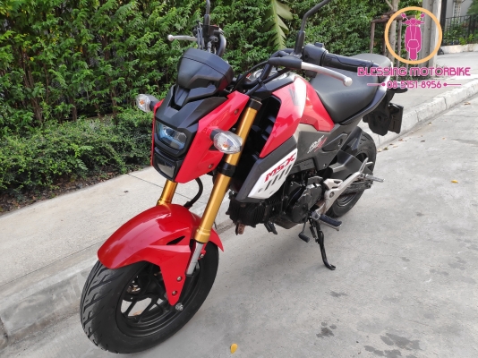 HONDA MSX SF ปี 62 รถสวยๆ เอกสารครบ รับประกันเอกสาร สามารถลองขับได้ HONDA MSX SF ปี 62 รถสวยๆ เอกสารครบ รับประกันเอกสาร สามารถลองขับได้