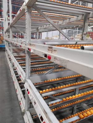 ขายรางโรเลอร์ มี4680 เส้น ขายรางโรเลอร์ มี4680 เส้น