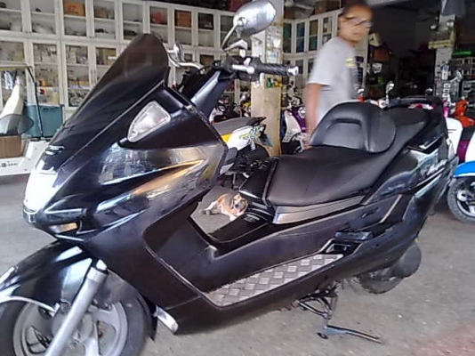 ขาย ยามาฮ่า มาเจสตี้ 250cc