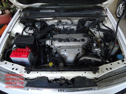 ขายรถ honda accord เครื่อง F22B Vtec สีขาวสวยๆ ราคา 79,000 บาท ++++++++ ขายรถ honda accord เครื่อง F22B Vtec สีขาวสวยๆ ราคา 79,000 บาท ++++++++