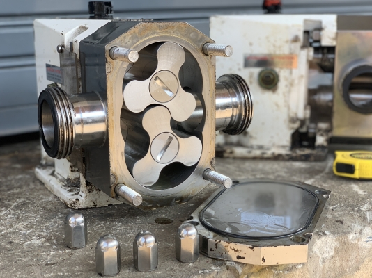 ขายหัวปั๊มดูดของเหนียวหัวสแตนเลส 316L Inoxpa pump ขนาดท่อ 2นิ้ว Made in Spain ใช้ในงานผลิตอาหาร สภาพสวย หมุนนิ่ม พร้อมใช้งาน อุปกรณ์ครบ มี 2ตัวครับ ราคาตัวละ 8,000 บาท ขายหัวปั๊มดูดของเหนียวหัวสแตนเลส 316L Inoxpa pump ขนาดท่อ 2นิ้ว Made in Spain ใช้ในงานผลิตอาหาร สภาพสวย หมุนนิ่ม พร้อมใช้งาน อุปกรณ์ครบ มี 2ตัวครับ ราคาตัวละ 8,000 บาท