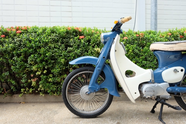ขาย Honda c100